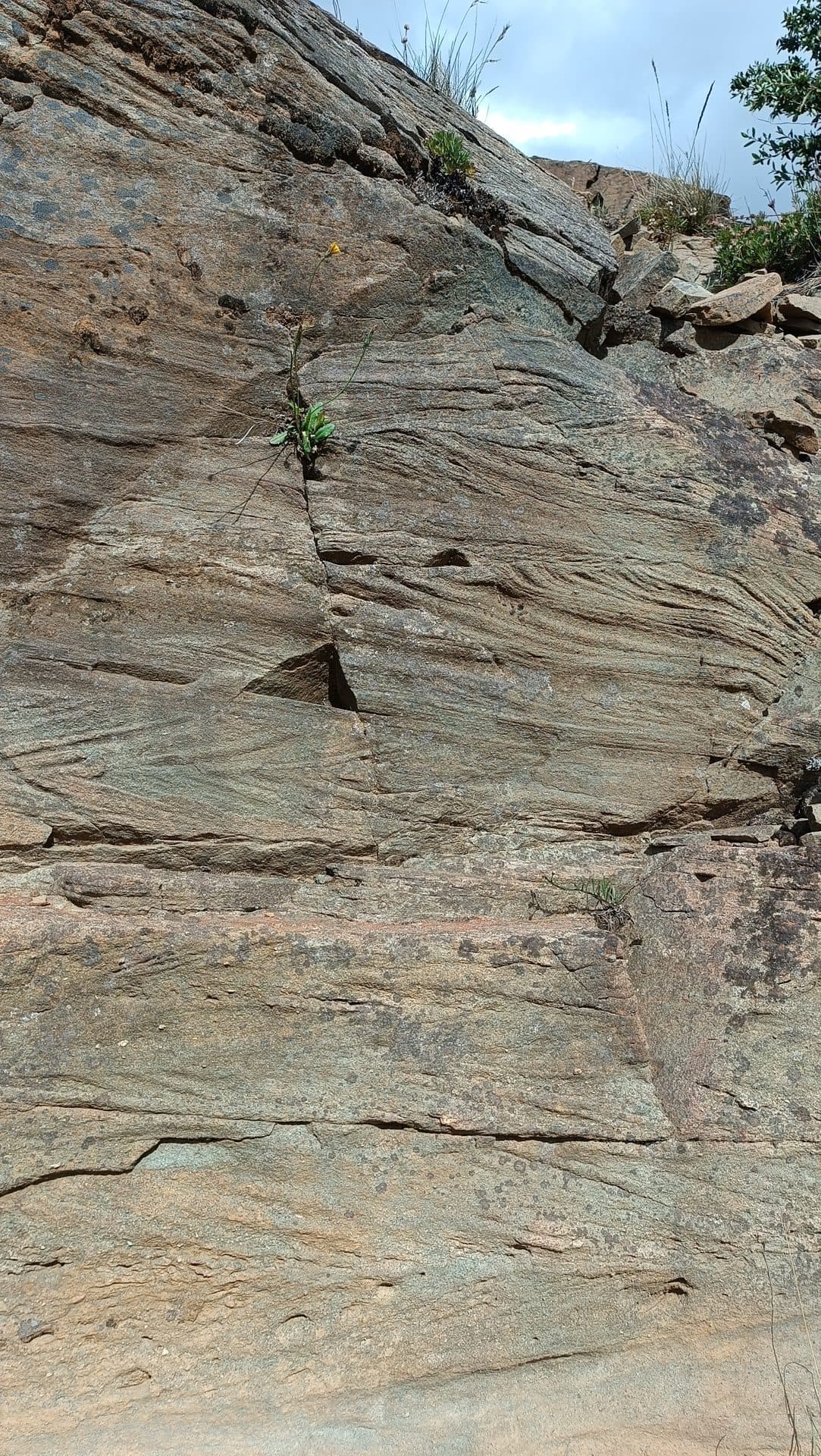 Afloramiento de roca estratificada expuesto en un corte natural.