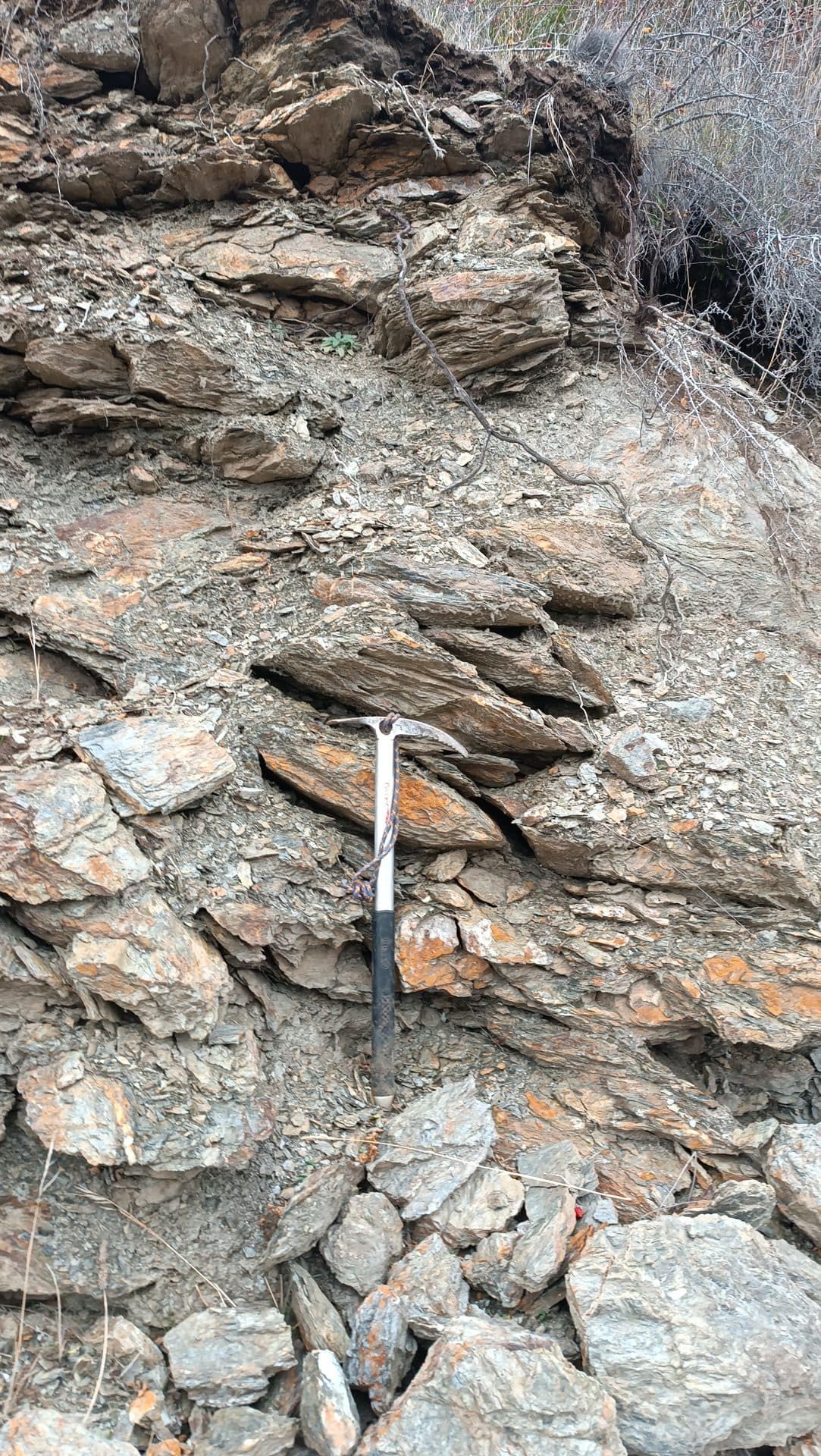 Roca foliada con una piqueta de geólogo como escala.